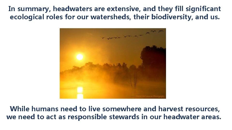 In summary, headwaters are extensive, and they fill significant ecological roles for our watersheds,