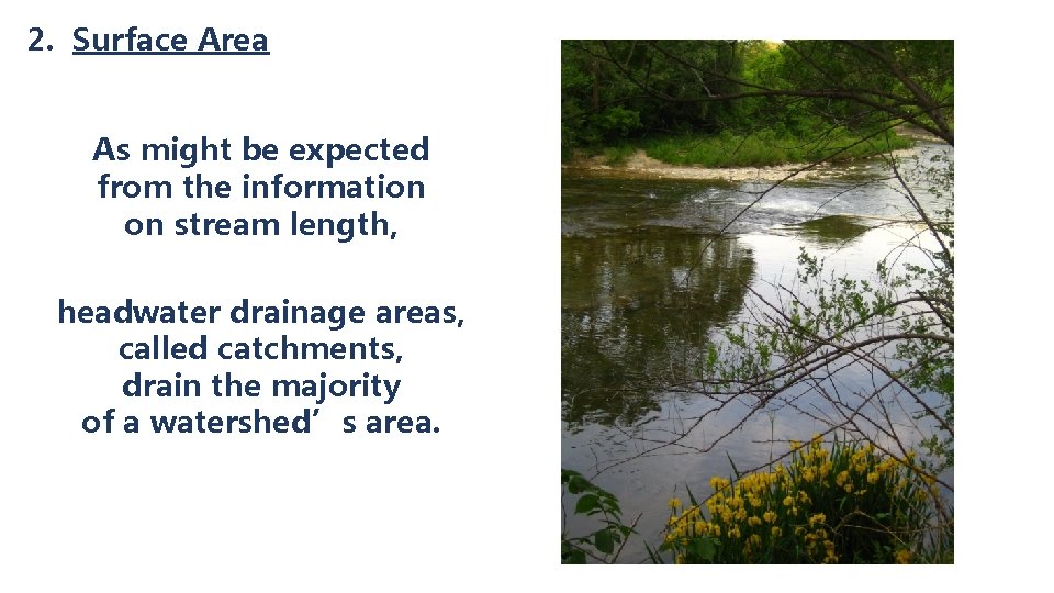 2. Surface Area As might be expected from the information on stream length, headwater