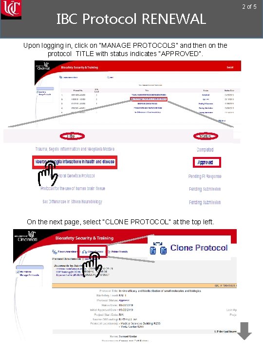 IBC Protocol RENEWAL Upon logging in, click on “MANAGE PROTOCOLS” and then on the