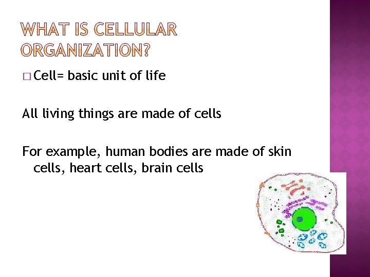 � Cell= basic unit of life All living things are made of cells For