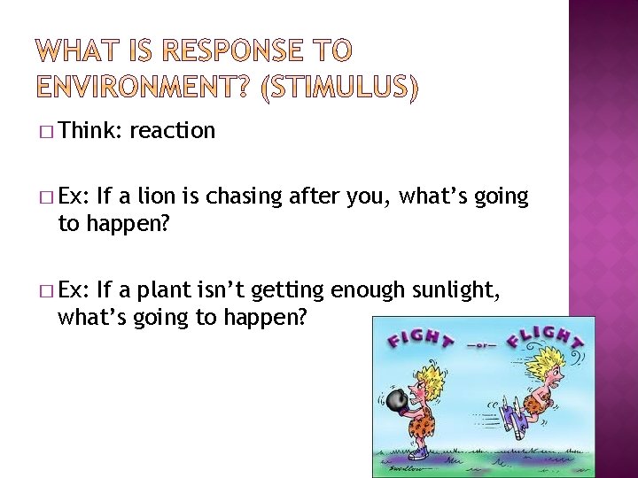 � Think: reaction � Ex: If a lion is chasing after you, what’s going