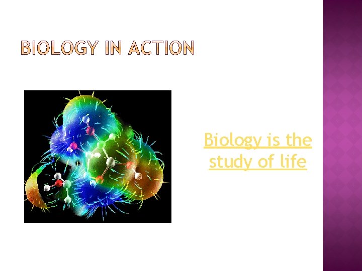 Biology is the study of life 