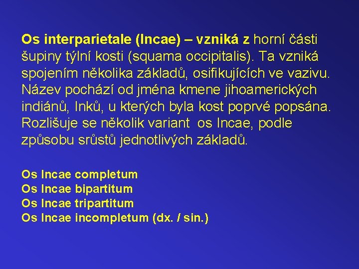 Os interparietale (Incae) – vzniká z horní části šupiny týlní kosti (squama occipitalis). Ta