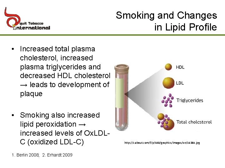 Smoking and Changes in Lipid Profile • Increased total plasma cholesterol, increased plasma triglycerides