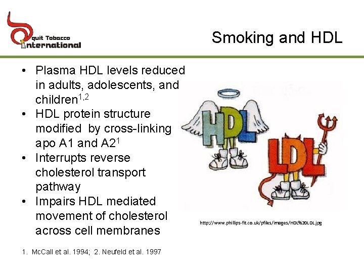 Smoking and HDL • Plasma HDL levels reduced in adults, adolescents, and children 1,