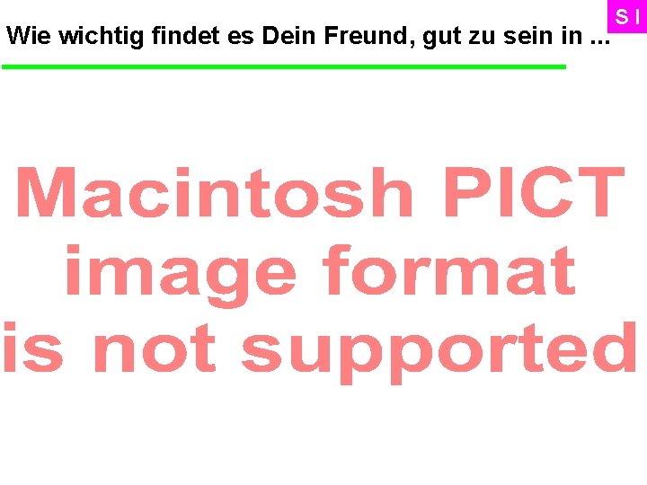 Wie wichtig findet es Dein Freund, gut zu sein in. . . SI 