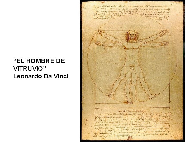 “EL HOMBRE DE VITRUVIO” Leonardo Da Vinci 