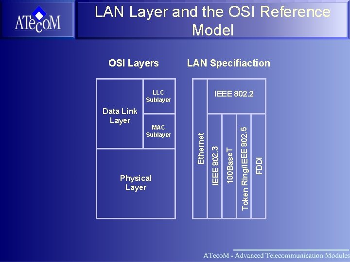 LAN Layer and the OSI Reference Model LAN Specifiaction LLC Sublayer FDDI Token Ring/IEEE