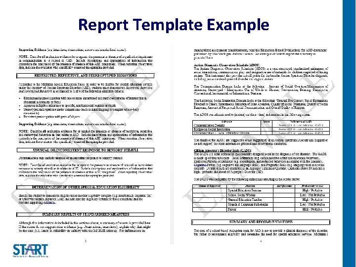 Report Template Example 