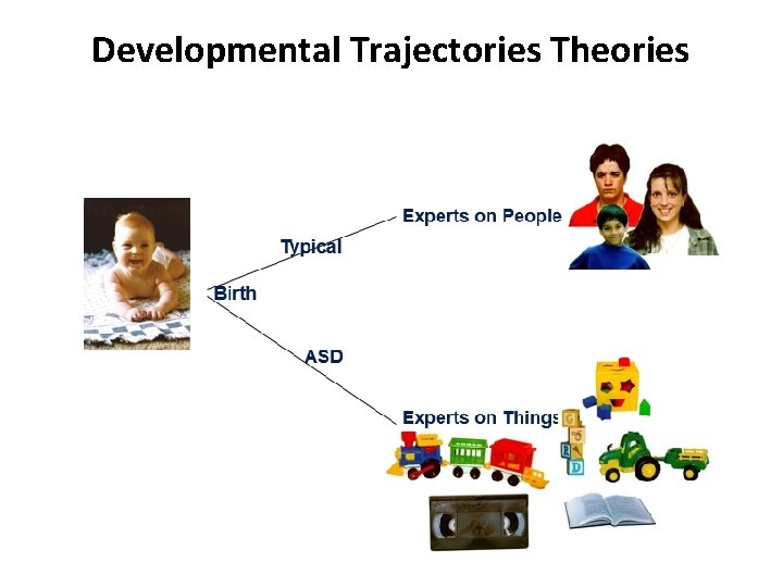 Developmental Trajectories Theories 