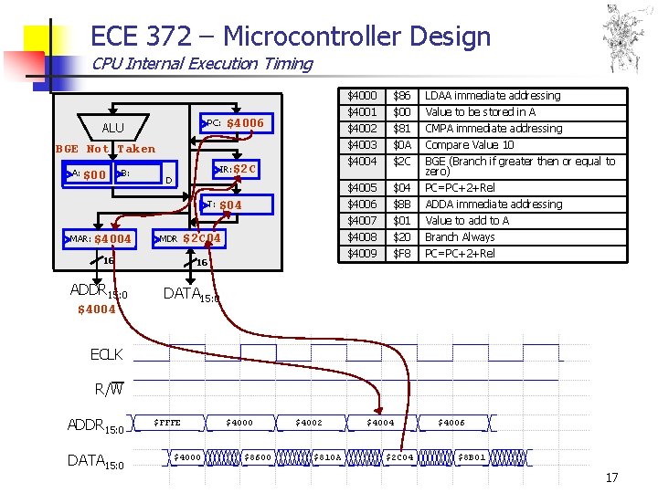 ECE 372 – Microcontroller Design CPU Internal Execution Timing PC: ALU $4006 $4004 BGE