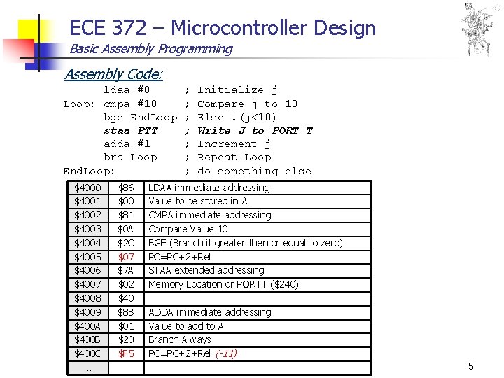 ECE 372 – Microcontroller Design Basic Assembly Programming Assembly Code: ldaa #0 Loop: cmpa