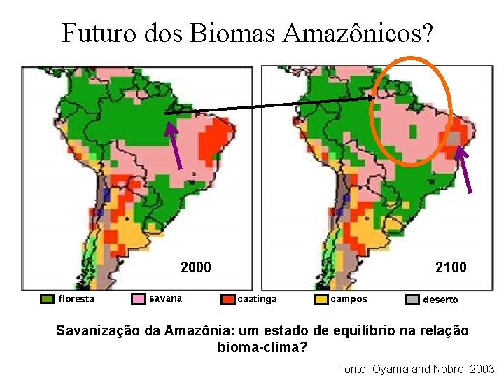 Futuro dos Biomas Amazônicos? 2100 2000 floresta savana caatinga campos deserto Savanização da Amazônia: