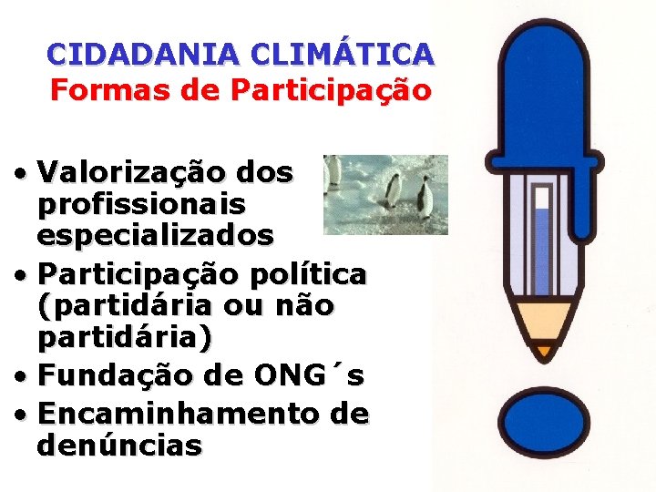 CIDADANIA CLIMÁTICA Formas de Participação • Valorização dos profissionais especializados • Participação política (partidária