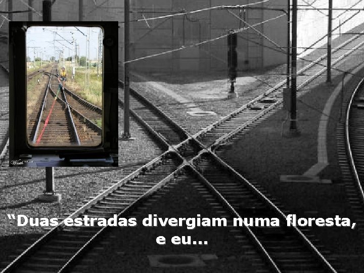 “Duas estradas divergiam numa floresta, e eu. . . 