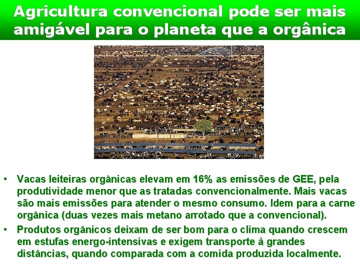 Agricultura convencional pode ser mais amigável para o planeta que a orgânica • Vacas