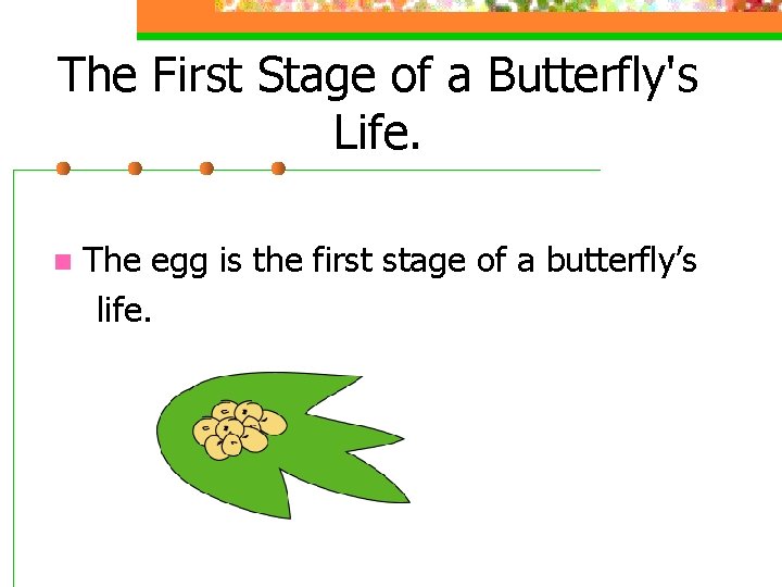 The First Stage of a Butterfly's Life. n The egg is the first stage