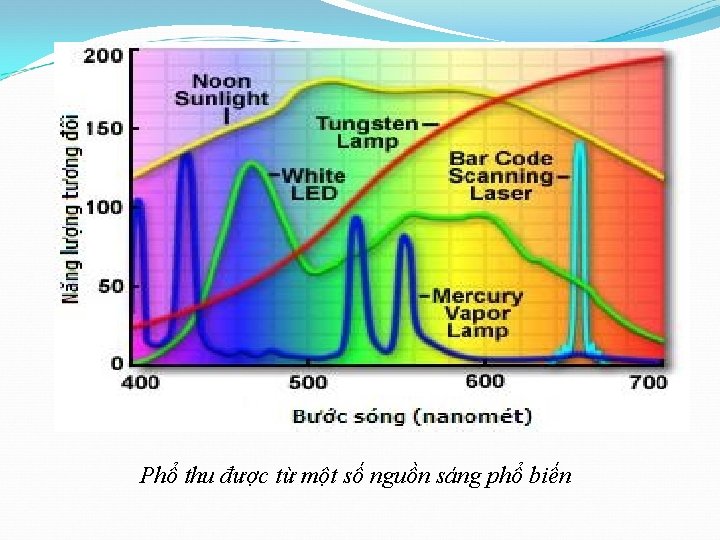 Phổ thu được từ một số nguồn sáng phổ biến 