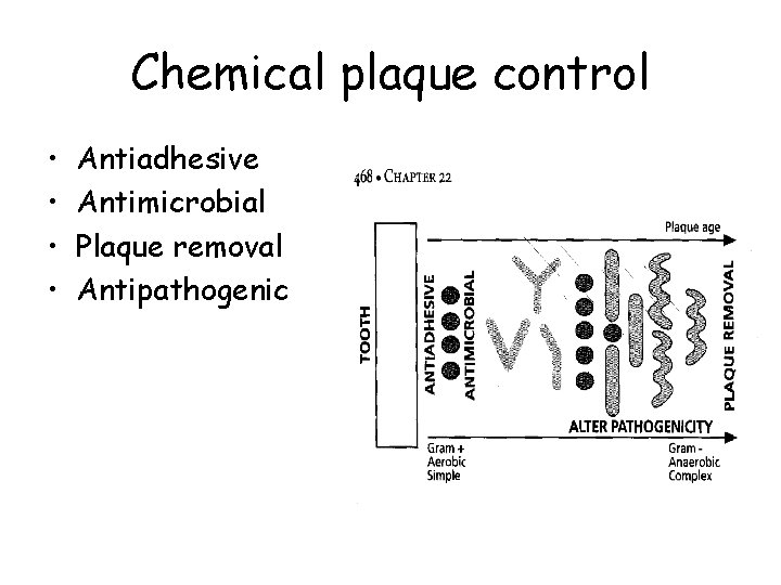 Chemical plaque control • • Antiadhesive Antimicrobial Plaque removal Antipathogenic 