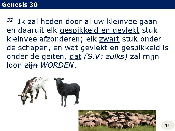 Genesis 30 Ik zal heden door al uw kleinvee gaan en daaruit elk gespikkeld