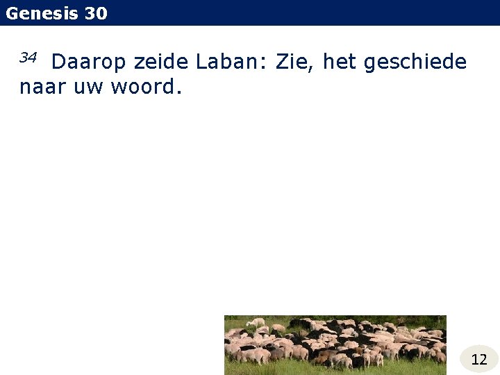 Genesis 30 Daarop zeide Laban: Zie, het geschiede naar uw woord. 34 12 