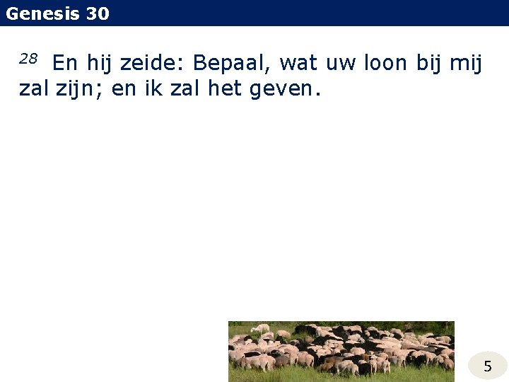 Genesis 30 En hij zeide: Bepaal, wat uw loon bij mij zal zijn; en