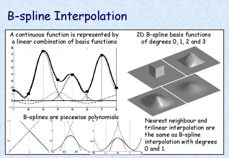 B-spline Interpolation A continuous function is represented by a linear combination of basis functions