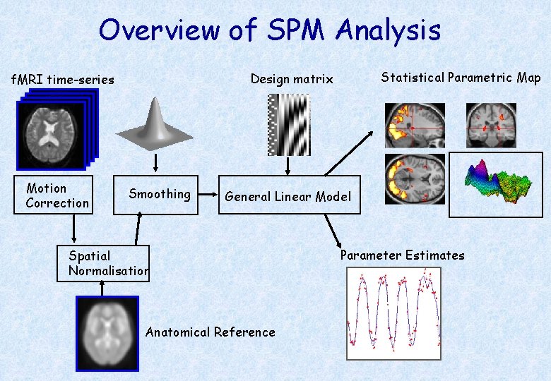 Overview of SPM Analysis Motion Correction Statistical Parametric Map Design matrix f. MRI time-series