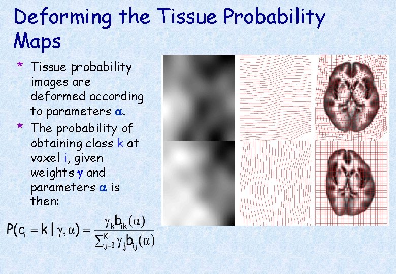 Deforming the Tissue Probability Maps * Tissue probability images are deformed according to parameters