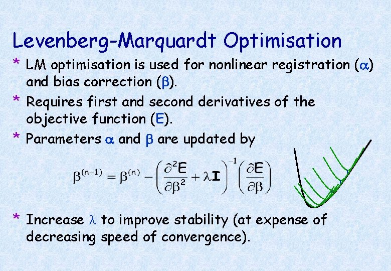 Levenberg-Marquardt Optimisation * LM optimisation is used for nonlinear registration (a) and bias correction