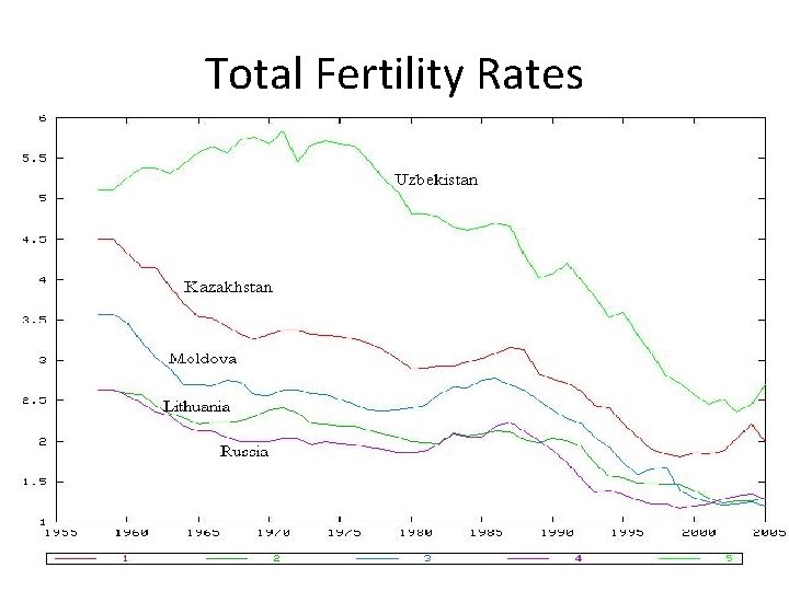 Total Fertility Rates 