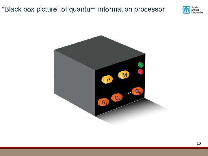 “Black box picture” of quantum information processor 10 