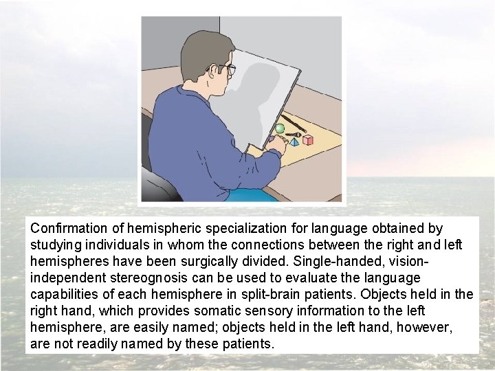 Confirmation of hemispheric specialization for language obtained by studying individuals in whom the connections