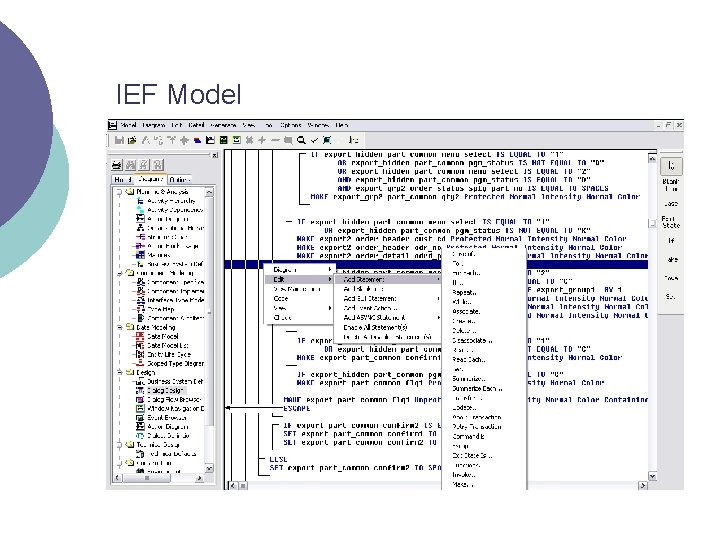 IEF Model 