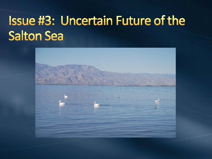 Issue #3: Uncertain Future of the Salton Sea 