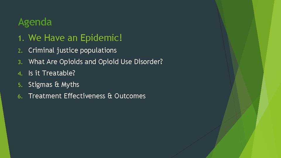 Agenda 1. We Have an Epidemic! 2. Criminal justice populations 3. What Are Opioids