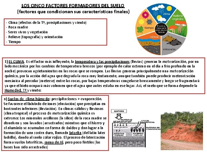 LOS CINCO FACTORES FORMADORES DEL SUELO (factores que condicionan sus características finales) - Clima