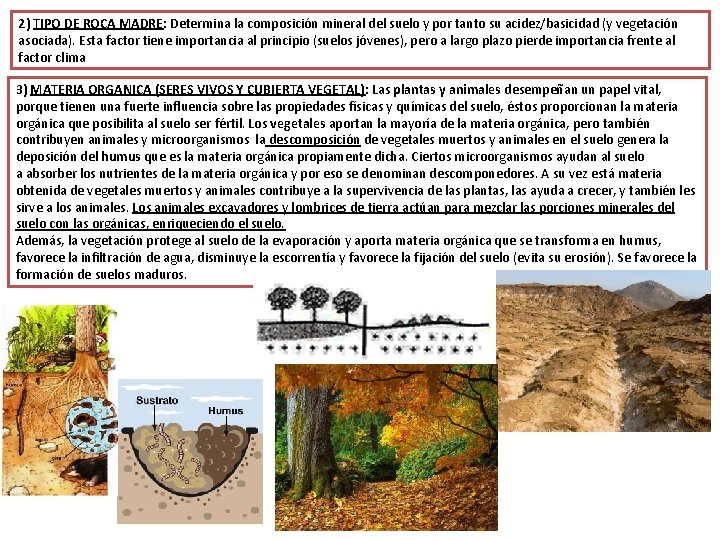 2) TIPO DE ROCA MADRE: Determina la composición mineral del suelo y por tanto
