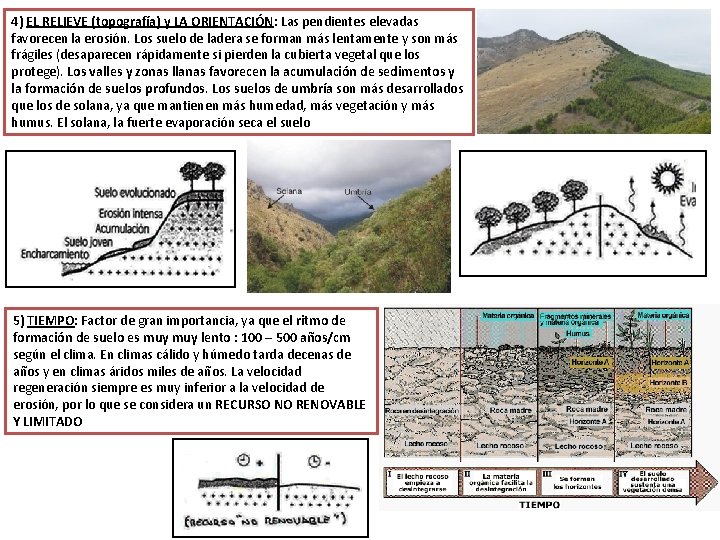 4) EL RELIEVE (topografía) y LA ORIENTACIÓN: Las pendientes elevadas favorecen la erosión. Los