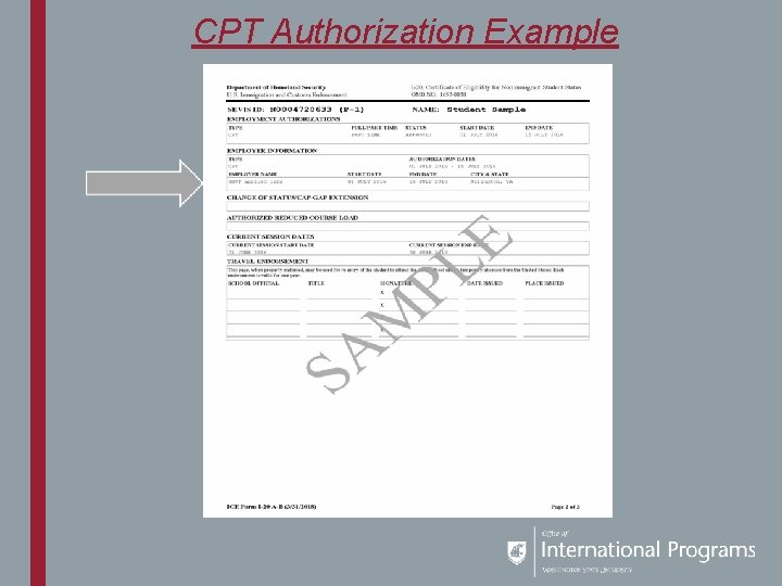 CPT Authorization Example 