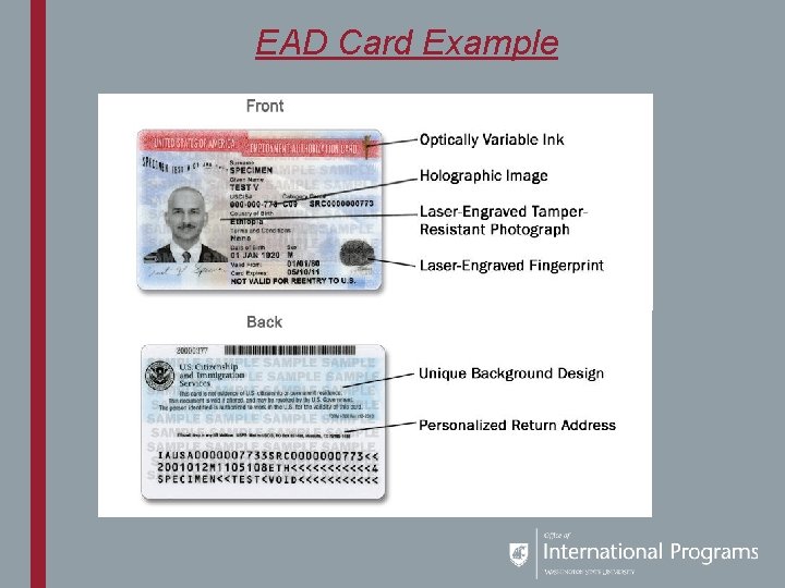 EAD Card Example 