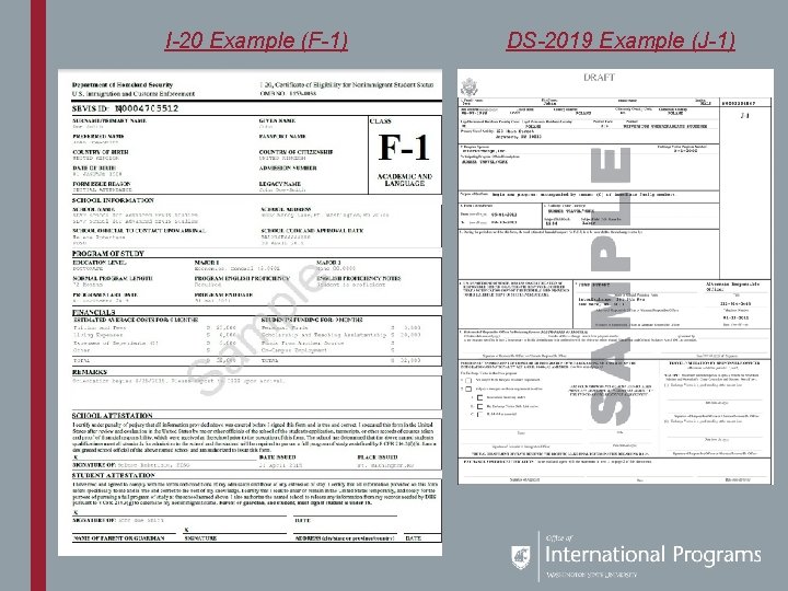 I-20 Example (F-1) DS-2019 Example (J-1) 