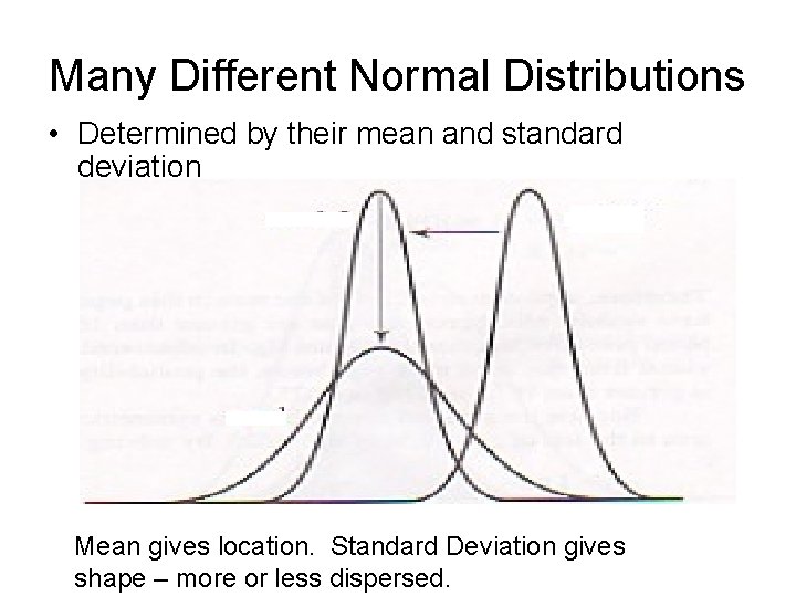 Many Different Normal Distributions • Determined by their mean and standard deviation Mean gives