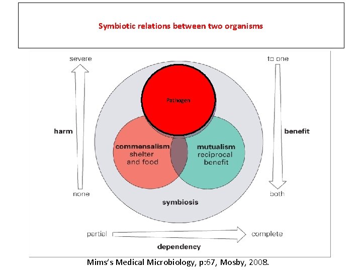 Symbiotic relations between two organisms Pathogen Mims’s Medical Microbiology, p: 67, Mosby, 2008. 