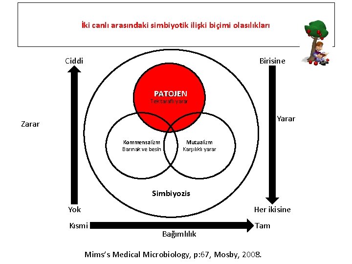 İki canlı arasındaki simbiyotik ilişki biçimi olasılıkları Ciddi Birisine Parazitizm PATOJEN Tek taraflı yarar