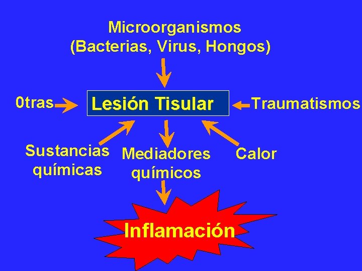 Microorganismos (Bacterias, Virus, Hongos) 0 tras Lesión Tisular Sustancias Mediadores químicas químicos Traumatismos Calor