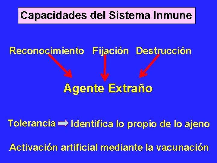Capacidades del Sistema Inmune Reconocimiento Fijación Destrucción Agente Extraño Tolerancia Identifica lo propio de