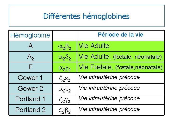 Différentes hémoglobines Période de la vie Hémoglobine A a 2 b 2 Vie Adulte