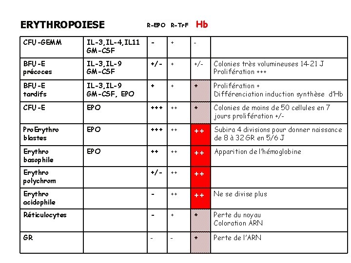 ERYTHROPOIESE R-EPO R-Tr. F Hb CFU-GEMM IL-3, IL-4, IL 11 GM-CSF - + -