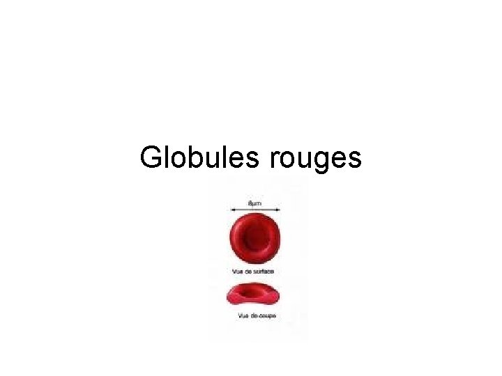 Globules rouges 